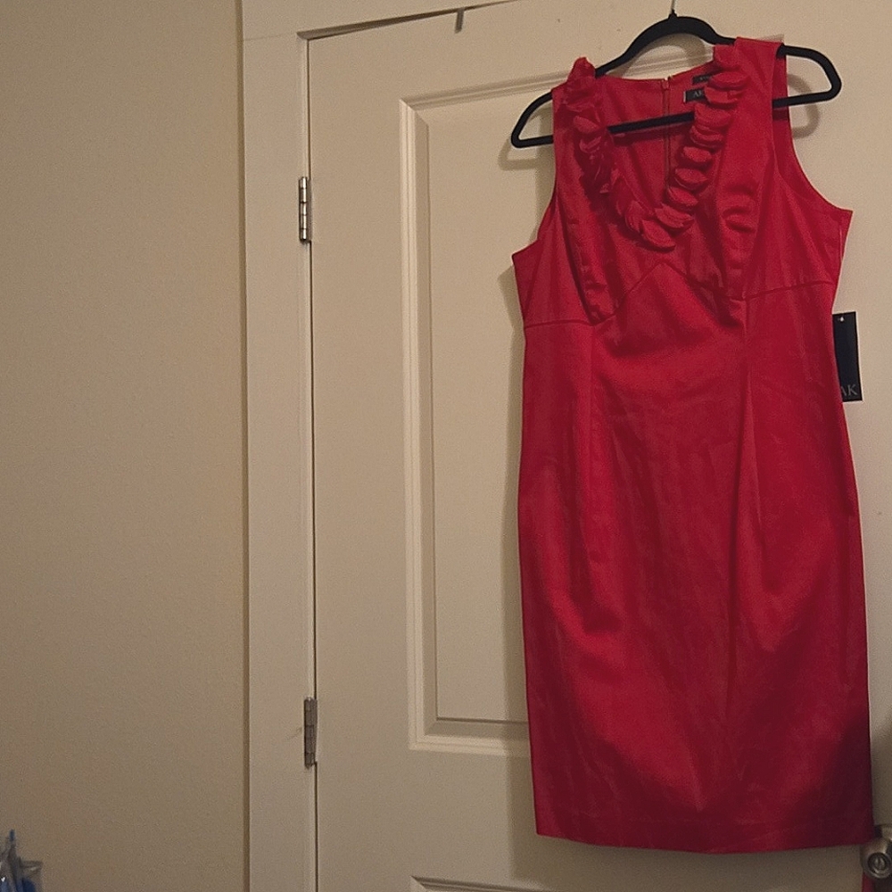 Anne Klien raspberry dress size 12